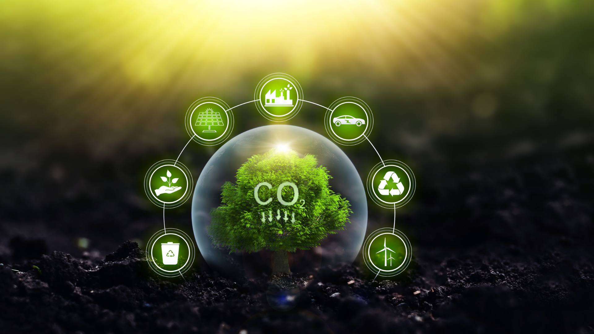 Integrating Sustainability into Operations